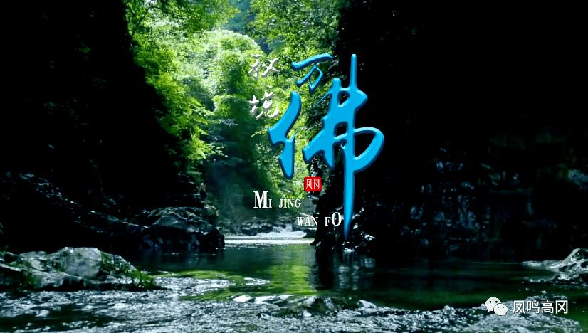 江西彭泽:春节将近 “花卉经济”产销旺
