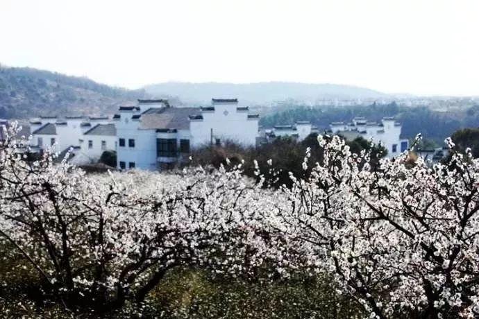 盗金父子俩自制版