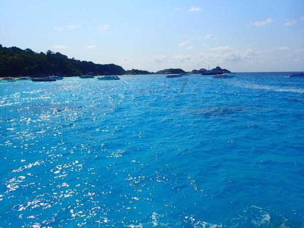 浪漫衣裙