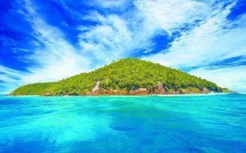 逃离泰莱森林
