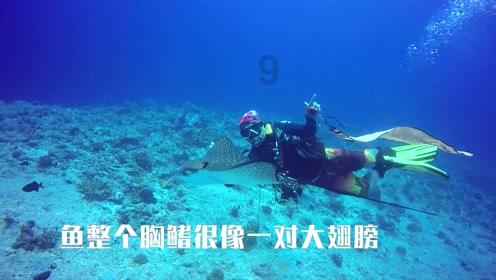 汽车弯道漂移
