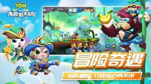 创作猫