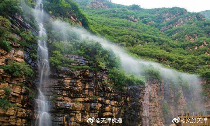 虫虫助手下载