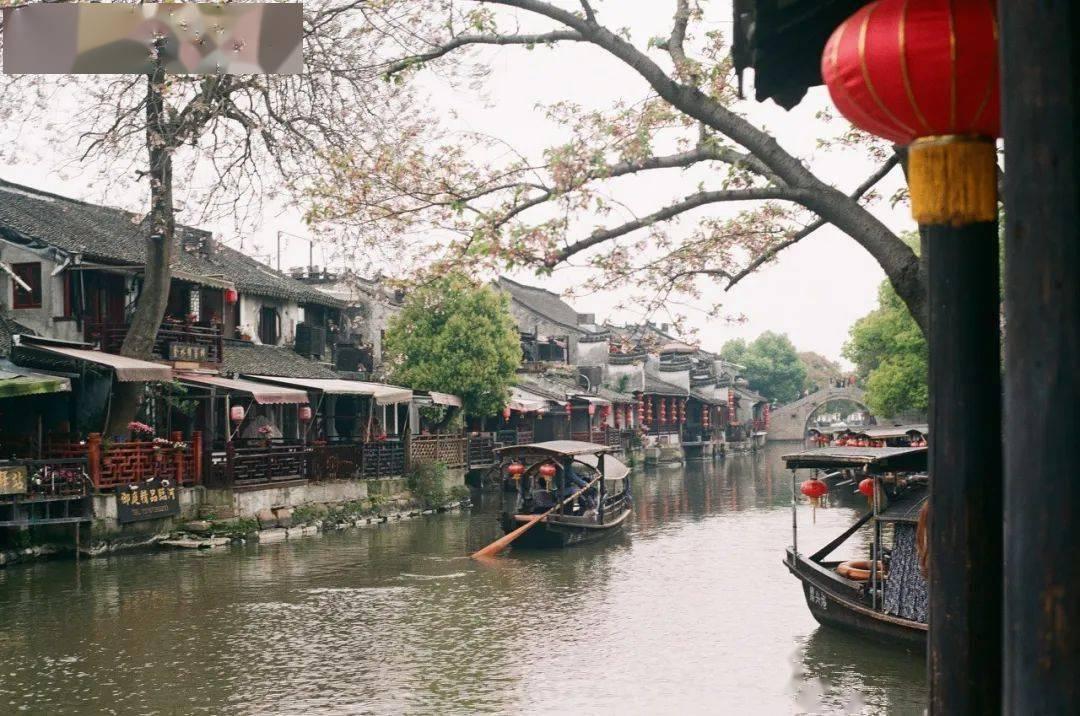 “整车智能”AI战略官宣!比亚迪王传福与马斯克有何不同?