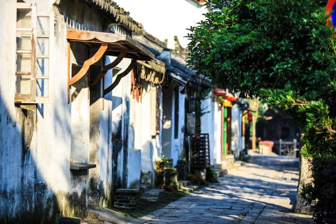 宋军“烟熏腊肉”，10万金兵溃败：枣阳之战