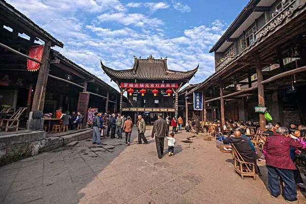 深入了解骄傲自大算不算特点?,知识星球平台等你来探索