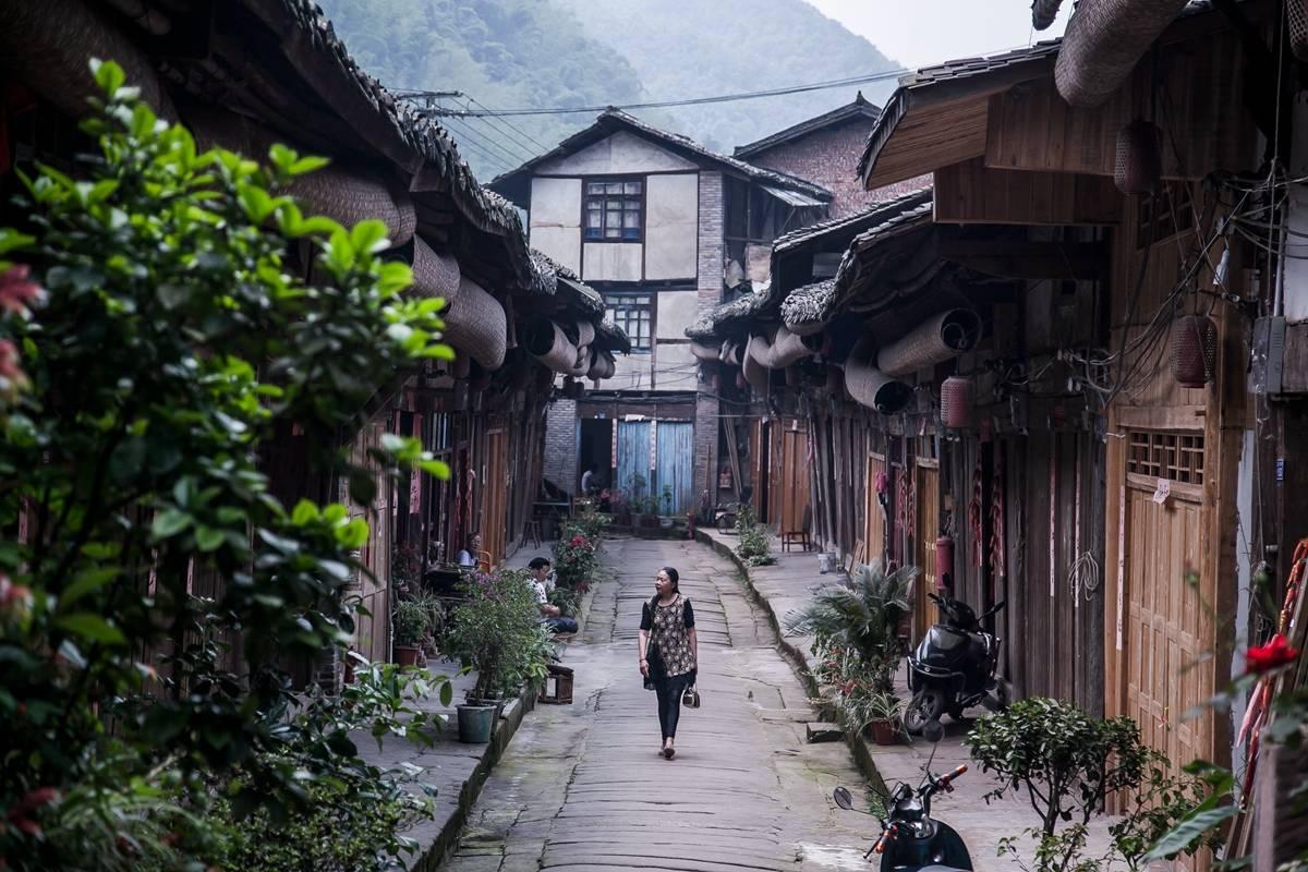 服务地方 贡献“南湖交科”力量