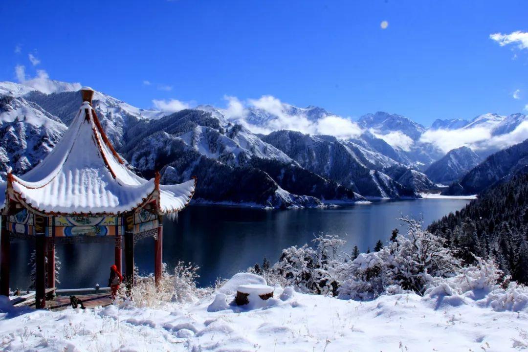 逃出大木屋